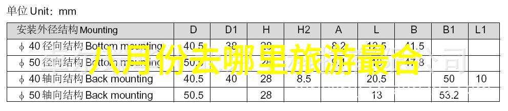 环保实践报告绿色生活方式的推广与实施