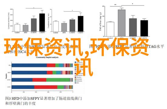 摘星2我和夜空的秘密约会摘星2的奇遇