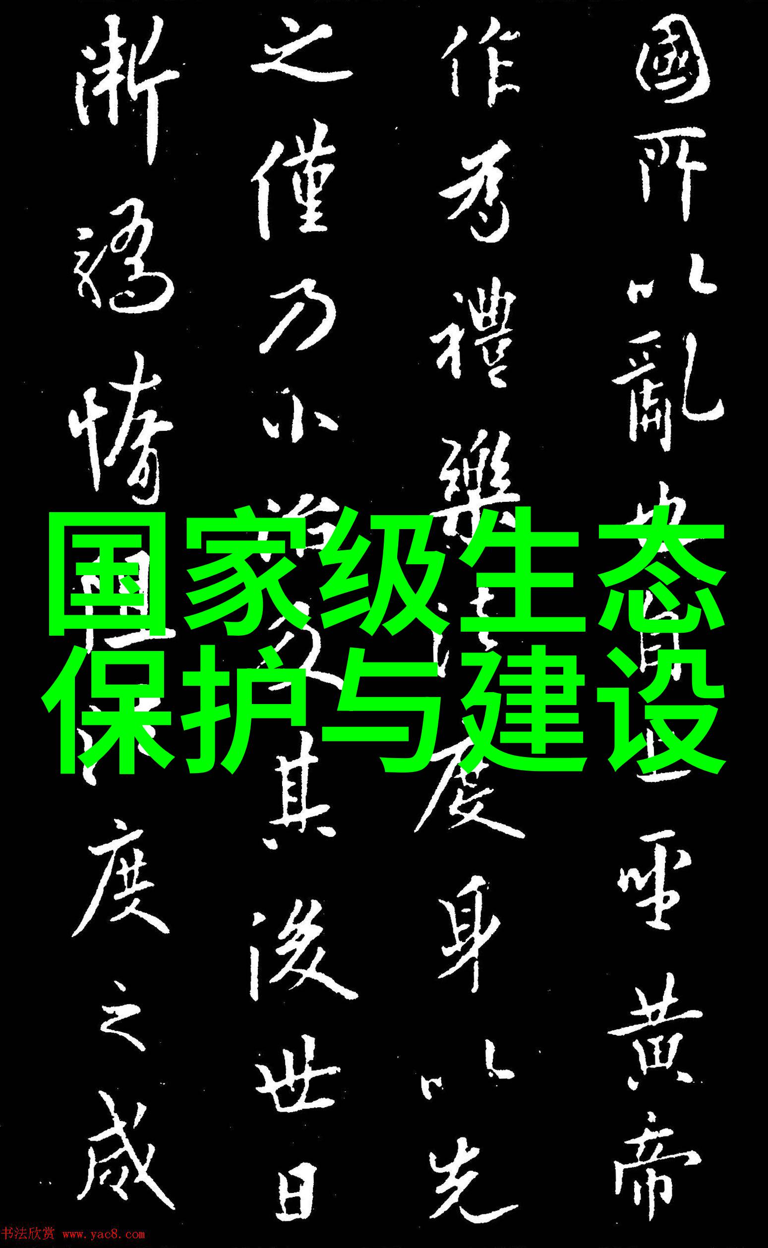 深度清透1000目滤网的水质净化奇迹