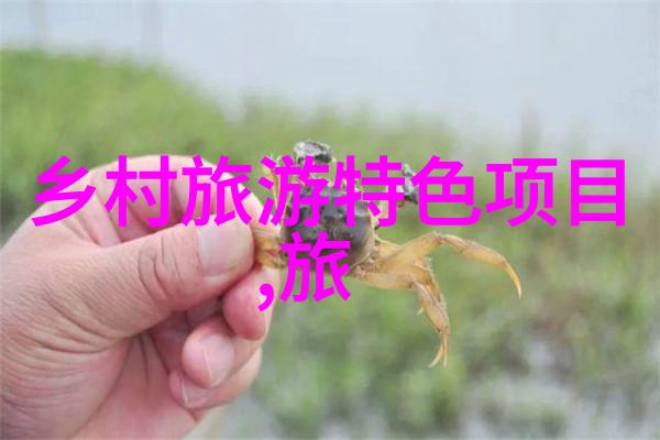 车载娱乐与信息系统的融合现代汽车仪幕的发展方向