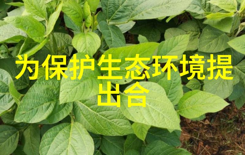 分析仪器的多样面纱探索常见类型与应用领域