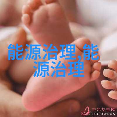 SDI仪产品使用说明难道不是关于压滤机无纺滤布的操作指南吗