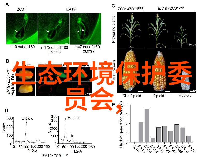 生物多样性保护与经济增长之间的平衡生态旅目的作用