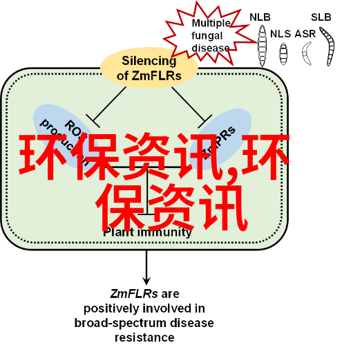 不锈钢金属过滤网坚韧的守护者清洁之翼