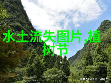 宁波象山抹香鲸搁浅事件自然康养旅游的奇遇与学习