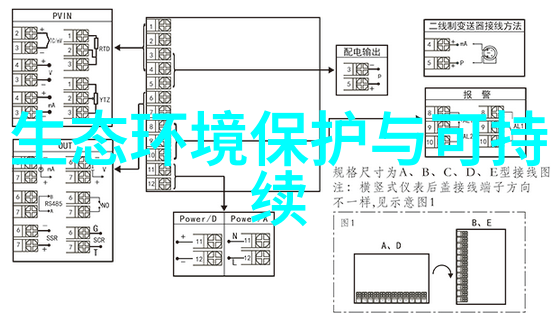 重温家庭温暖陪伴父母的旅程