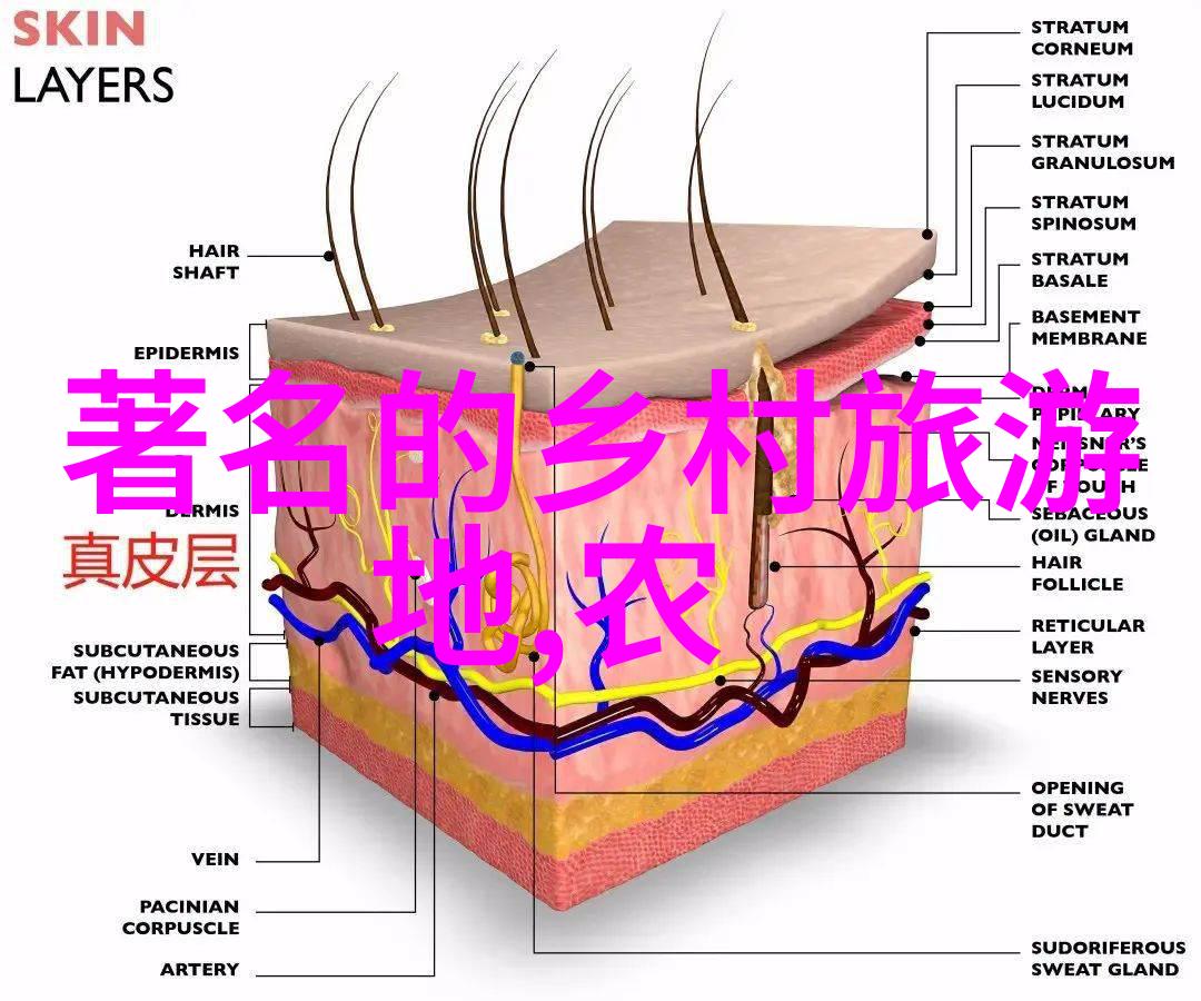 让每一帧都传递爱地球的情感环护设备过滤技术图片特辑