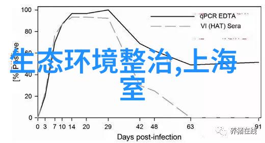 上海检测中心确保城市安全的重要堡垒