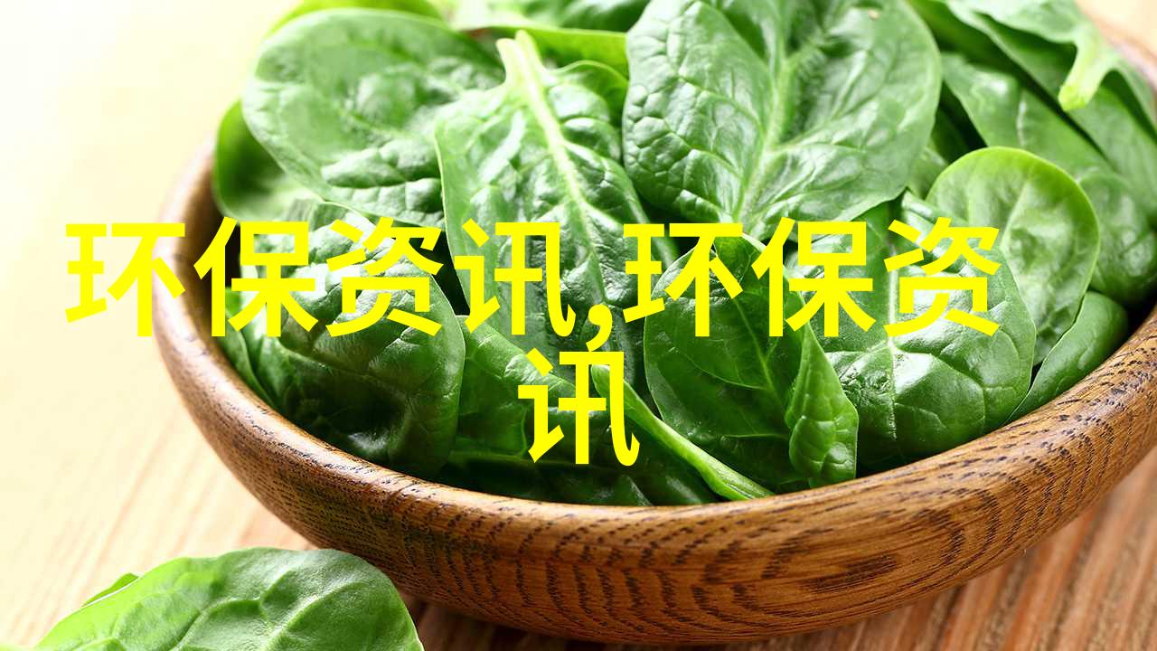 环保教育-小学生环保行动的美好瞬间一览照片大全