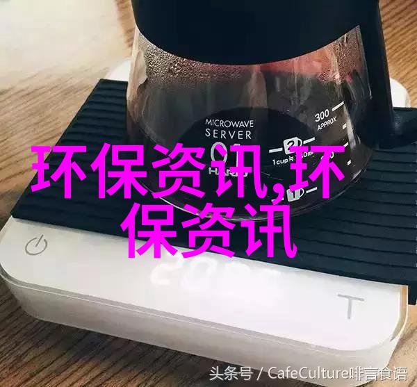 废弃物再生资源有机废弃物的热解加工过程