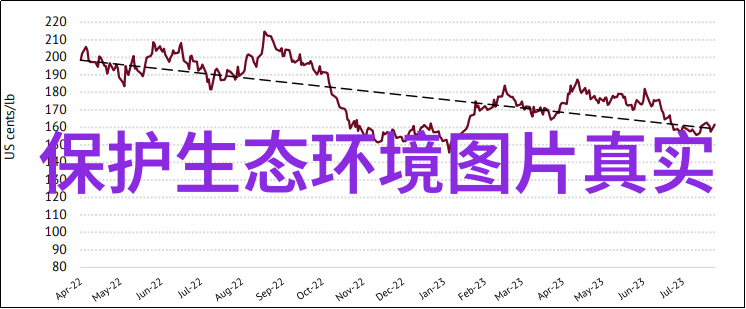 碳足迹从清新梦想到污染现实的低碳挑战