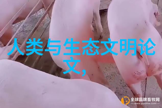 学校低碳行动计划改变未来环境的故事