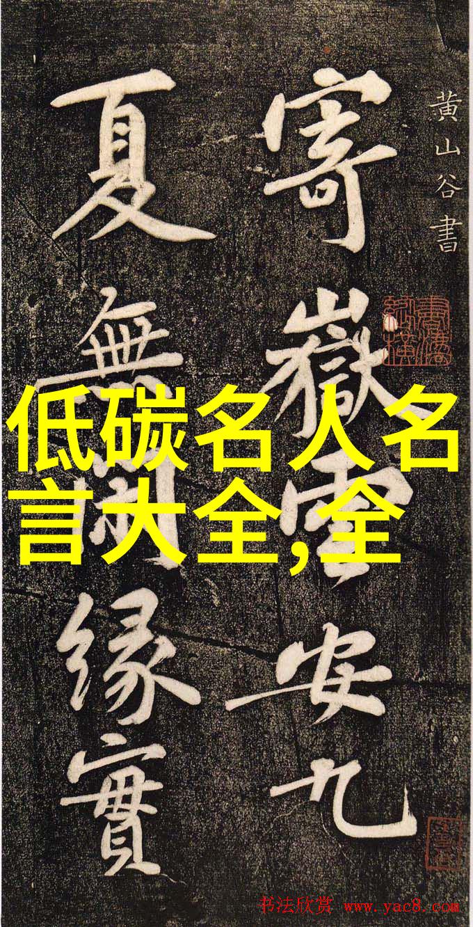 探索板框压滤机滤布材质材料选择的艺术与科技融合