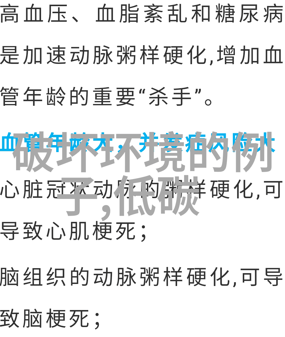 实时PCR技术在病原体检测中的精确度与速度提升