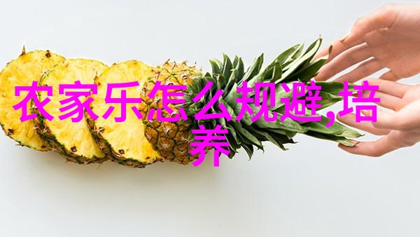 个人环保实践减少塑料使用的日常小技巧