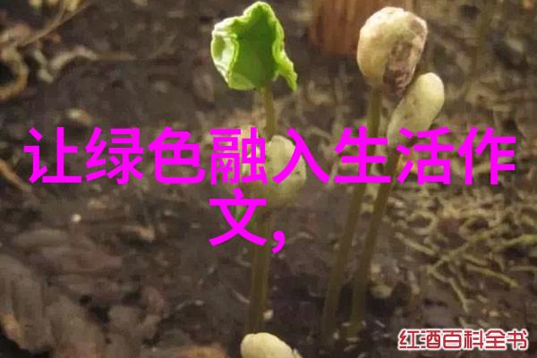 低碳生活方式探究绿色出行与节能减排环保交通工具和能源效率改善