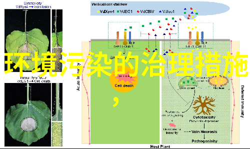 最新款鱼缸过滤器-高效清洁水质轻松养护爱宠的智慧之选