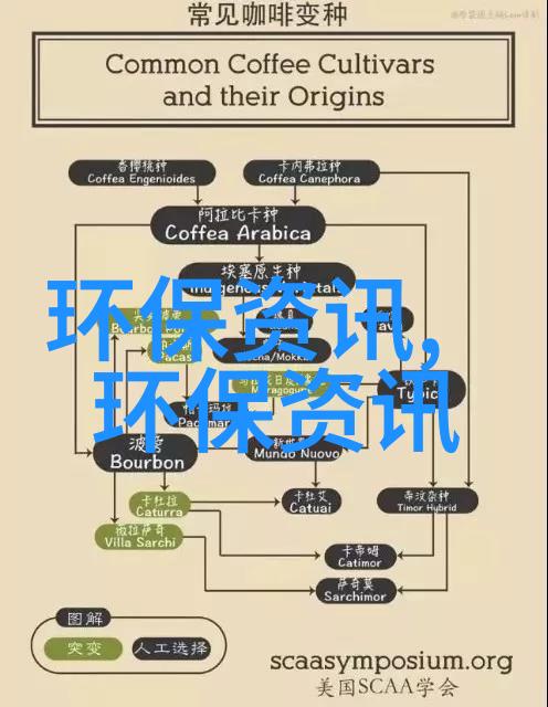 探索创新思维打造引人入胜的有意义分享PPT