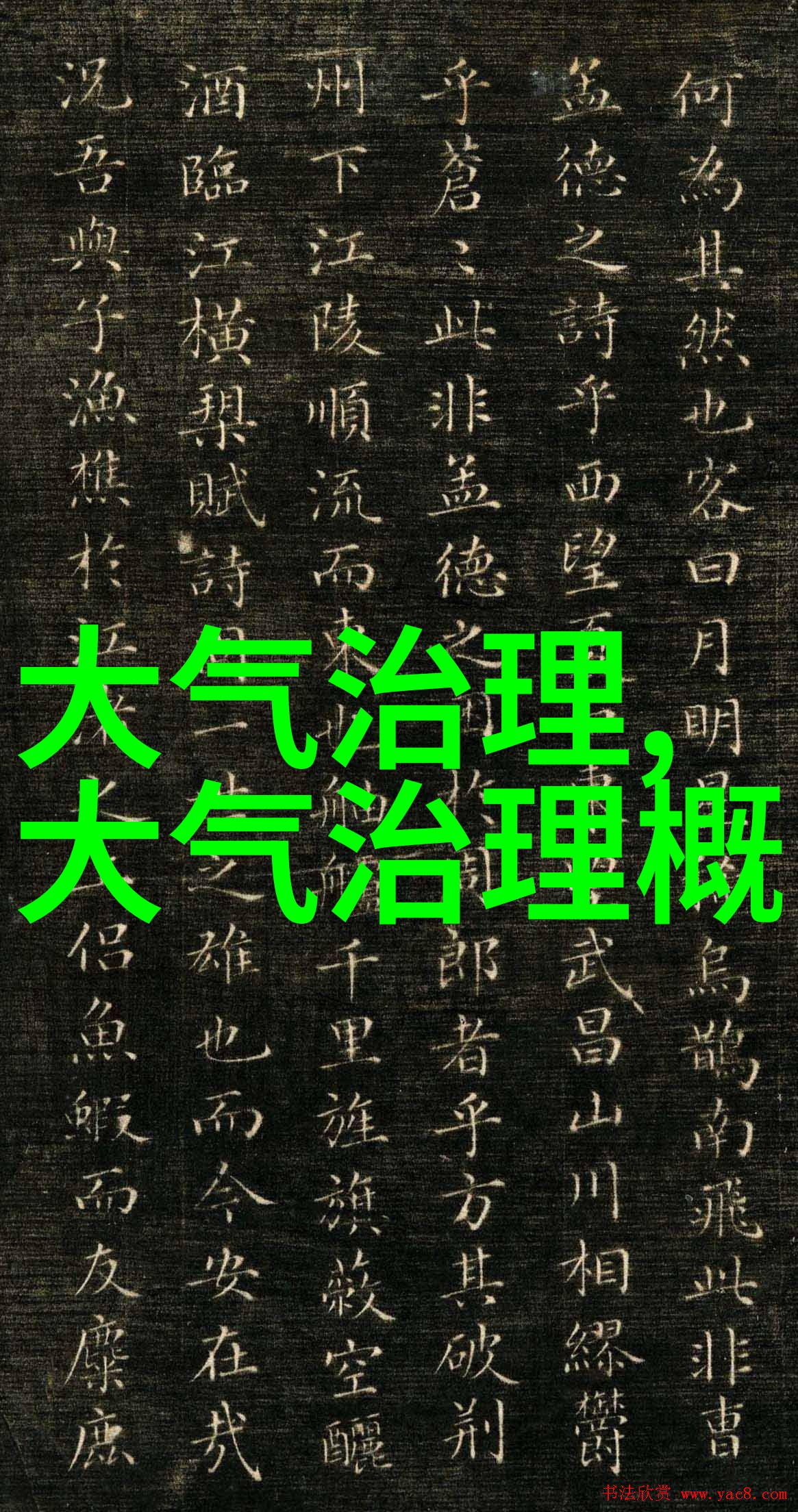 水生态治理生态保护环境修复污染控制水质改善