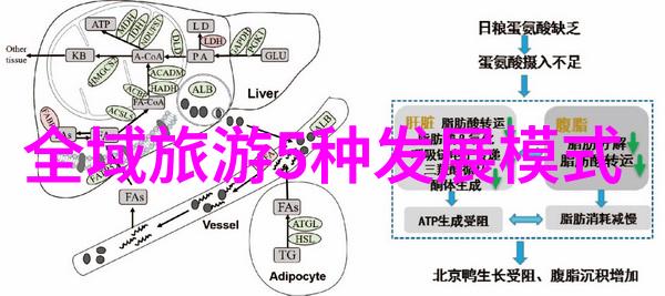 推进排水和环卫设施更新 达州市发布建筑和市政基础设施设备更新专项行动实施方案