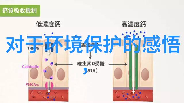 实验室抽滤装置的选择艺术如何挑选出最合适的滤膜犹如一场精妙绝伦的仪器之宴