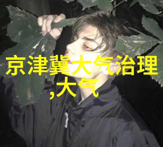 超级高效油烟净化处理设备与密不可分的深度脱水机成套装置污泥脱水之神器