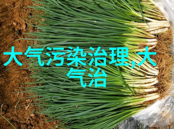 净化设备有限公司-空气净化技术革新净化设备有限公司如何让城市呼吸新鲜