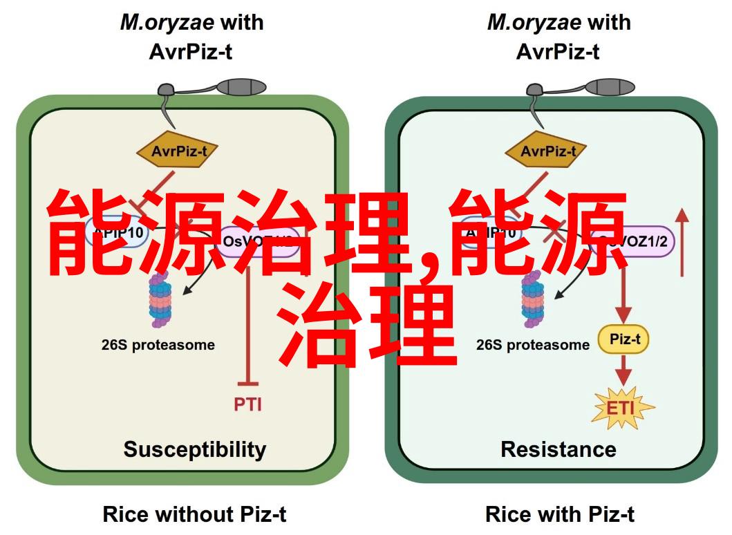 小朋友的绿色家园我们共同努力保护环境的故事