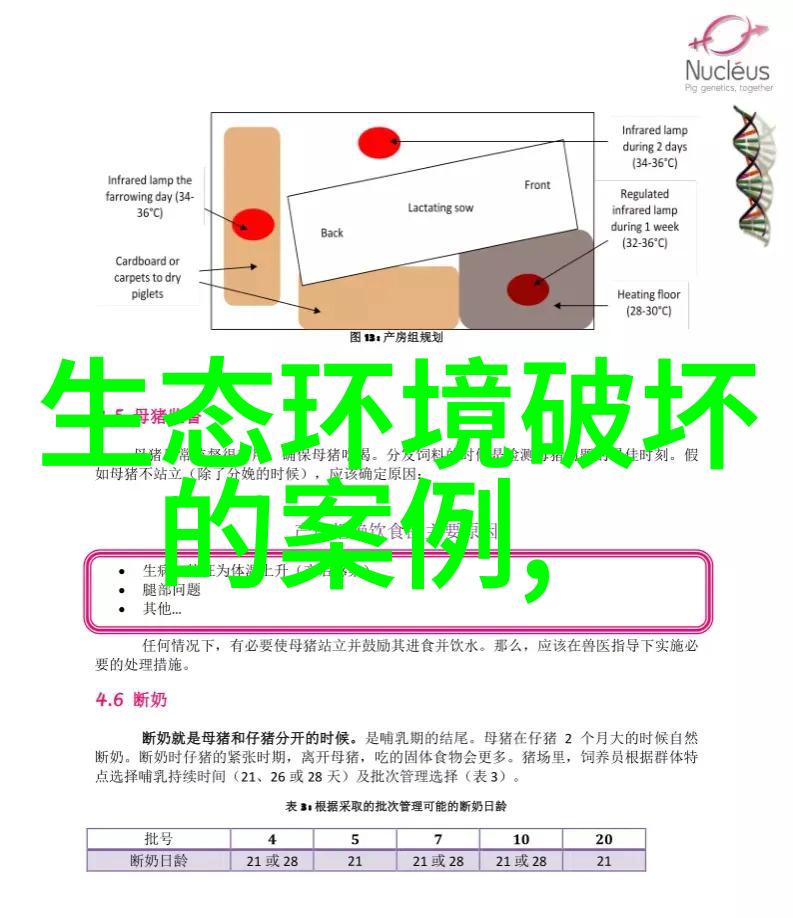 如何选择合适的生态旅馆体验自然之美