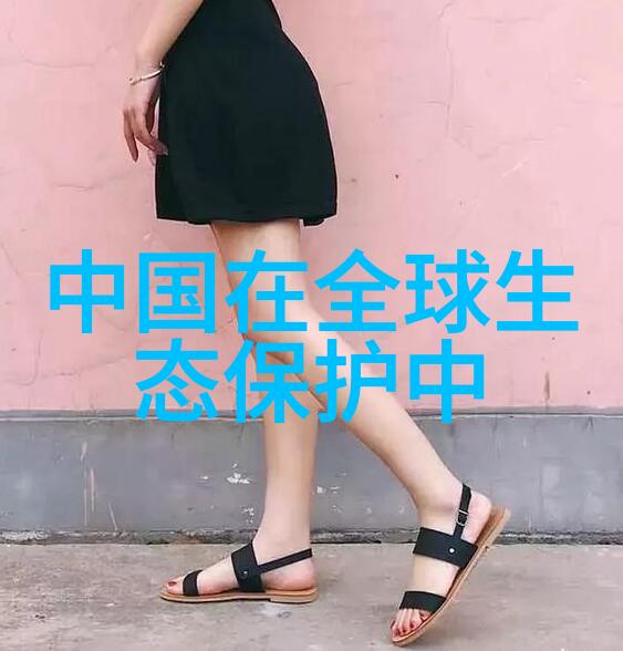 生活中的小规模污水处理设备推荐指南