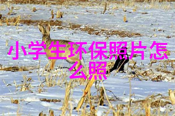 保山工贸园区综合污水处理厂特许经营权及项目承接主体中标候选人公示探索城市污水处理的智慧之路