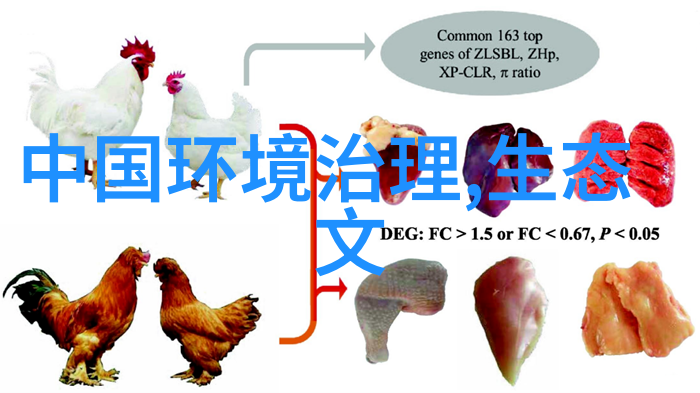 工业软化水设备确保生产过程中水质稳定与柔顺