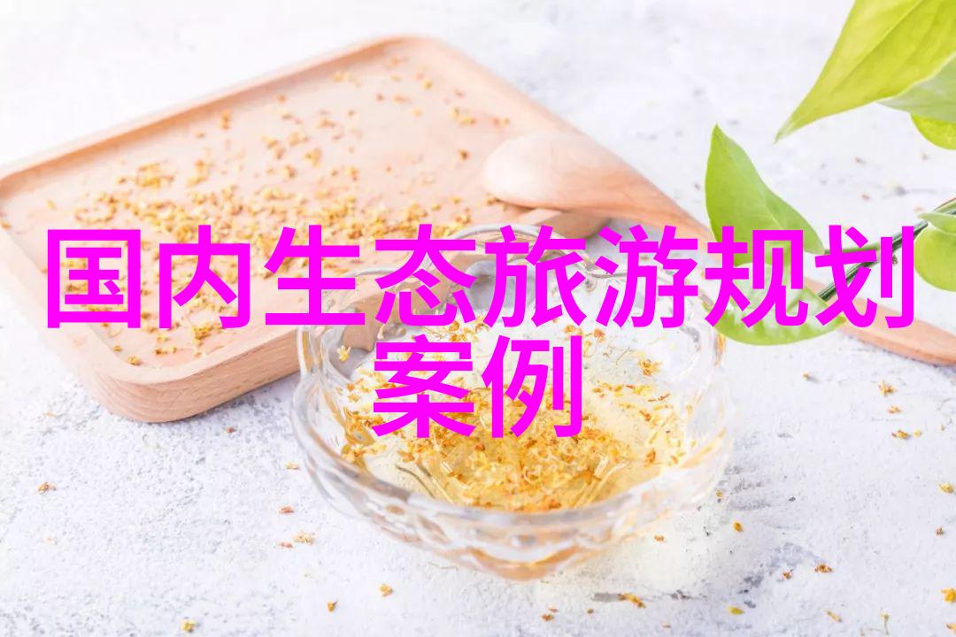 绿色出行智慧节能低碳生活小倡议的实践之道