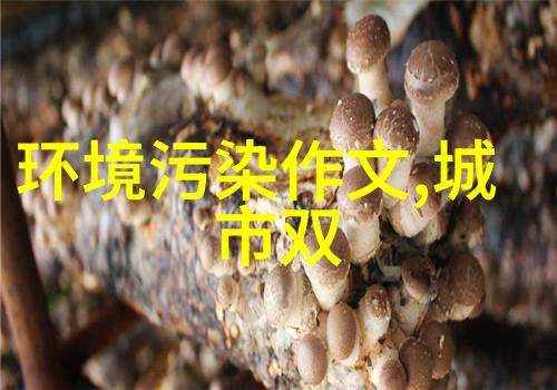 绿色家园碳足迹清零探索低碳生活新篇章