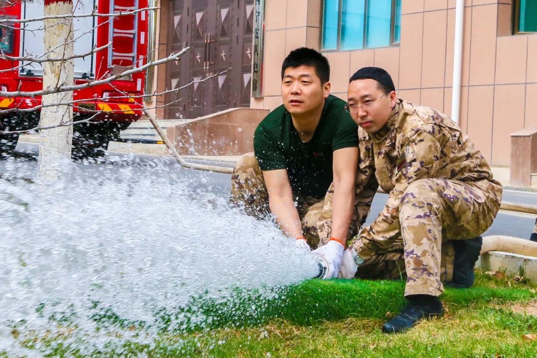 植树问题_植树_植树还是植树作文